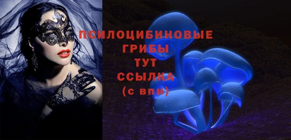 спиды Алексеевка