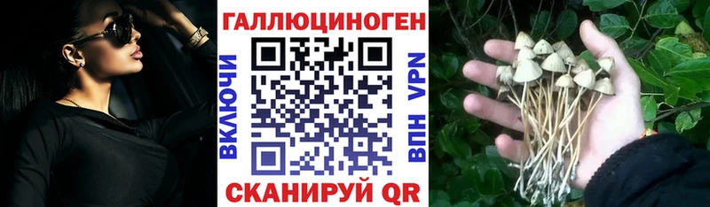 Псилоцибиновые грибы GOLDEN TEACHER  Чайковский 